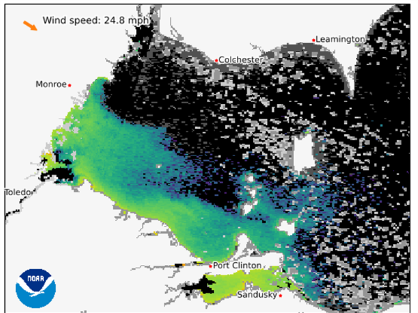 Algal bloom now up to 480 square miles in size