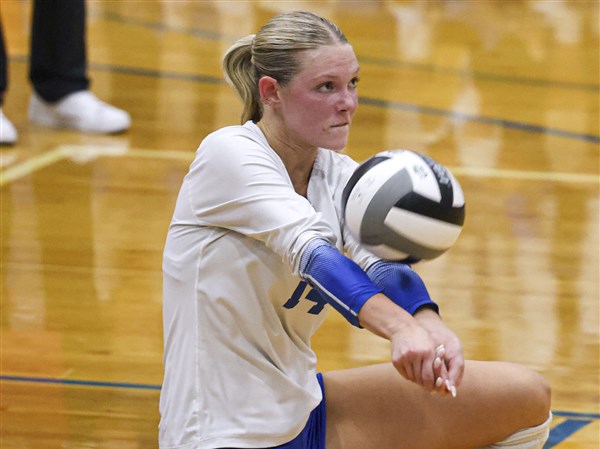 Anthony Wayne volleyball tops Clay in 4 sets