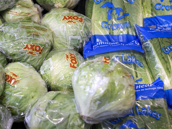 cyclosporiasis cases lettuce outbreak