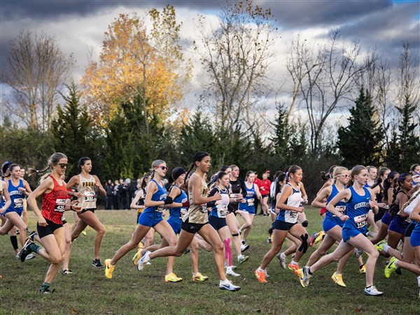 High school cross country: Perrysburg wins NLL Buckeye boys, girls titles; St. Francis wins CHSL