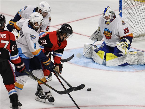Walleye sign goaltender Nick Grabko as their 3rd netminder