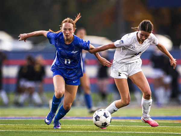 Girls high school soccer: Anthony Wayne shuts out Findlay 2-0, advances to district final