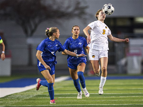Northview clinches district girls soccer title over Anthony Wayne on Ziemke's goal, Mason's terrific goalkeeping