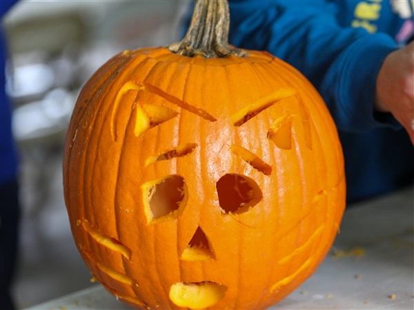 Bowling Green to accept pumpkins for composting